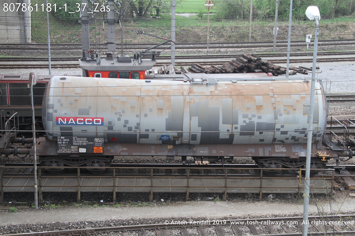 807861181-1_37_Zas.JPG